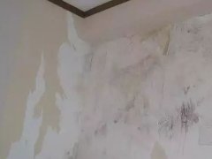 jxf吉祥坊(中国)官方网站