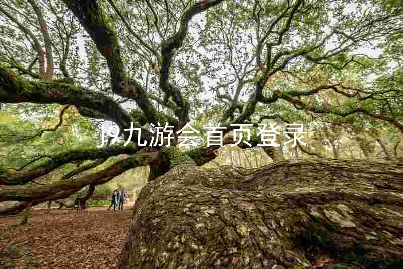 j9九游会首页登录