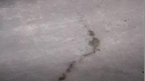 1_190802105435_1 jxf吉祥坊(中国)官方网站