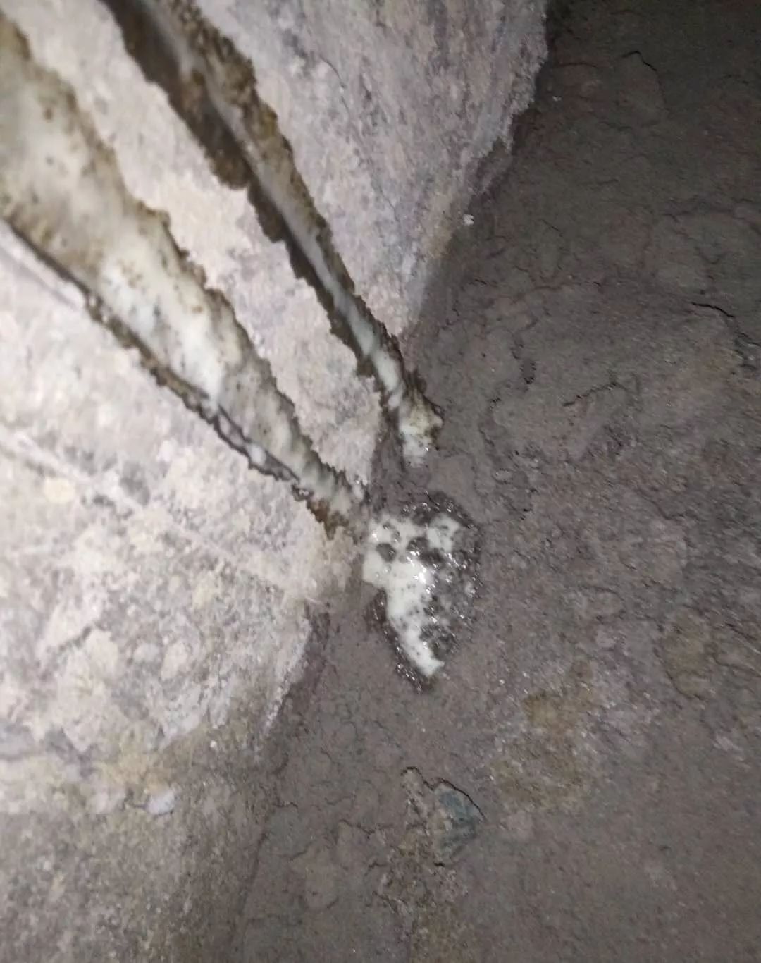1_190821092448_1 jxf吉祥坊(中国)官方网站