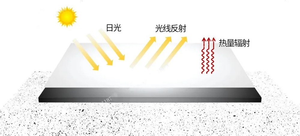 1_230831135128_1 jxf吉祥坊(中国)官方网站